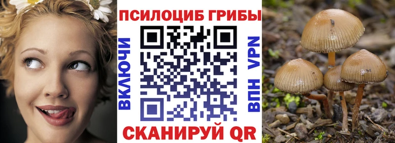 Псилоцибиновые грибы Magic Shrooms  купить наркотик  Покров 