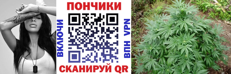 Бошки марихуана семена  Покров 